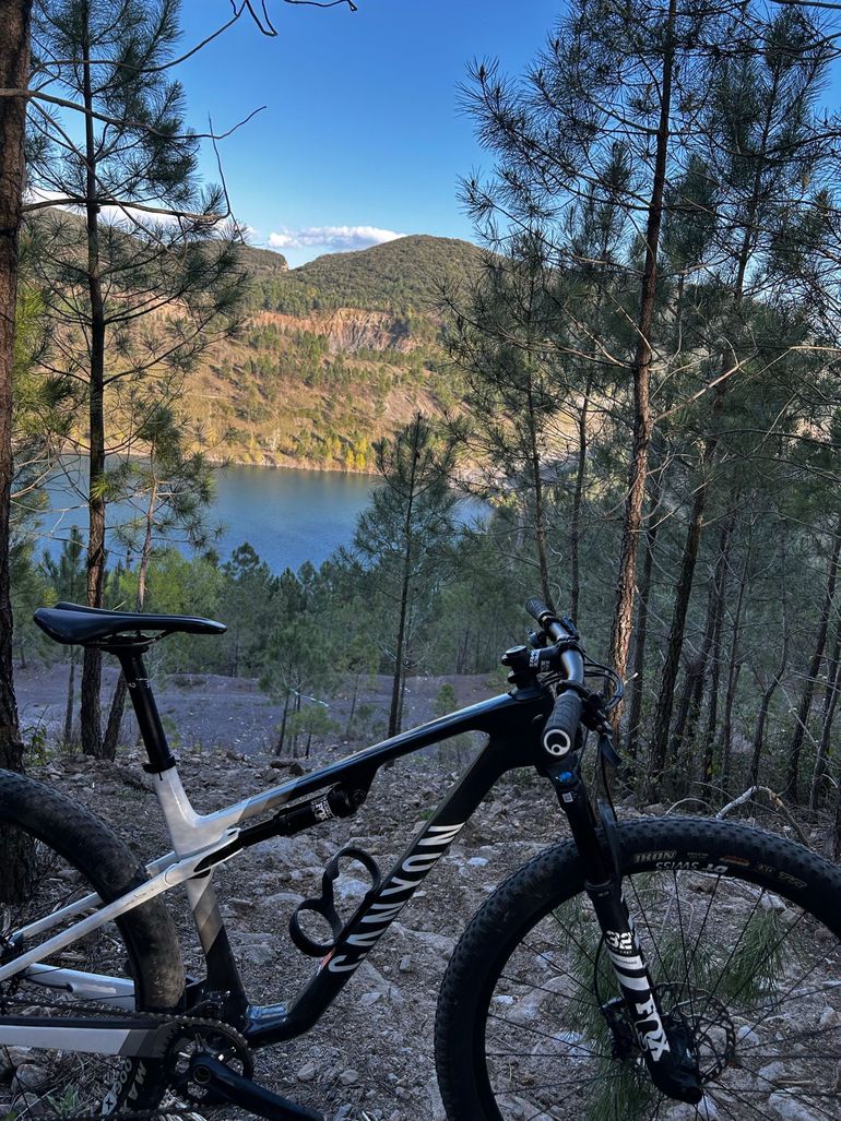 Used Canyon Lux World Cup CF 6 2023 2023 Mountainbike, Black, 29 — image 1 of 7