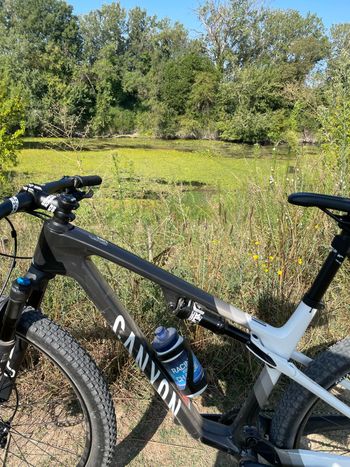 Used Canyon Lux World Cup CF 6 2023 2023 Mountainbike, Black, 29 — image 3 of 7