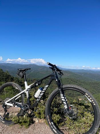 Used Canyon Lux World Cup CF 6 2023 2023 Mountainbike, Black, 29 — image 5 of 7