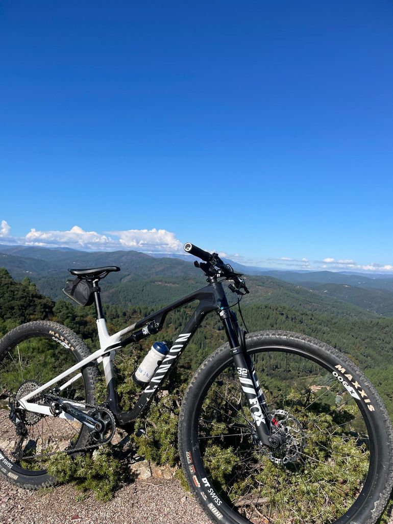 Used Canyon Lux World Cup CF 6 2023 2023 Mountainbike, Black, 29 — image 5 of 7