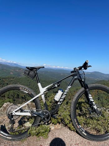 Used Canyon Lux World Cup CF 6 2023 2023 Mountainbike, Black, 29 — image 6 of 7