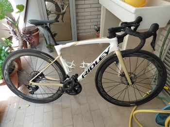 Used Ridley Fenix Shimano 105 2023 Road & Gravel
