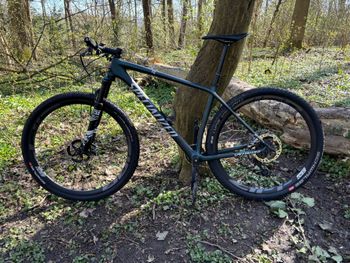 Gebrauchtes Specialized Epic Hardtail Expert 2022 2022 Mountainbike, Hellgrau — Bild 2 von 9
