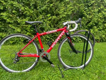 Scatto J-Cross 28 2019 Carretera y gravel de segunda mano