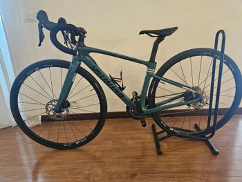 Used Specialized Roubaix Sport 2021 2021 Road & Gravel, Green — image 2 of 6