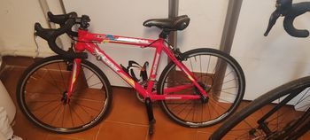 Brugt VICINI Custom Microshift 2024 Road & Gravel