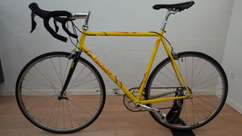 Wilier Triestina Retro Stålracer 2000 Road & Gravel d'occasion — image 9 sur 11