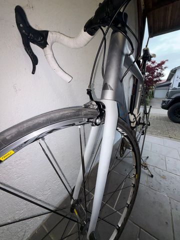 Used Canyon Ultimate CF EVO 10.0 SL 2017 Frameset 2017 Road & Gravel, Light Gray — image 4 of 11