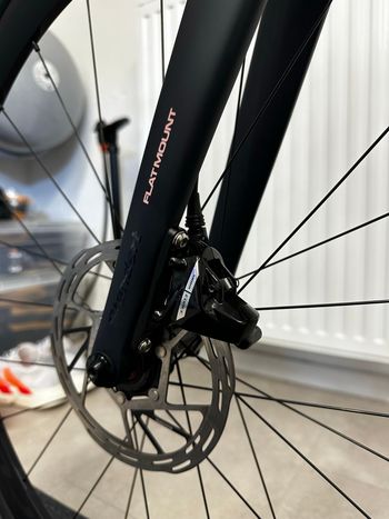 Used Standert Kreissäge RS Black Widow Sram Force AXS D2 2024 2024 Road & Gravel, Blue — image 9 of 24