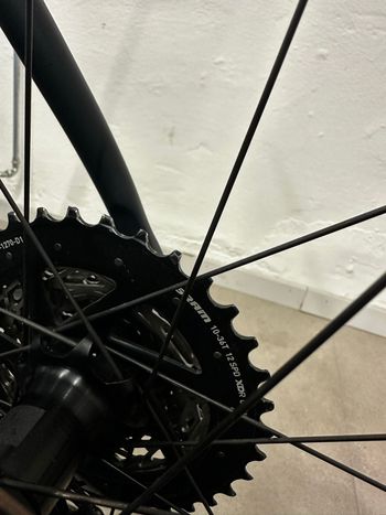 Used Standert Kreissäge RS Black Widow Sram Force AXS D2 2024 2024 Road & Gravel, Blue — image 14 of 24