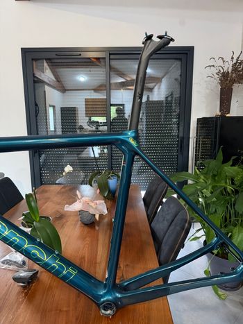 Used Bianchi Specialissima Pro Racing Team Special edition frame kit 2023 Frameset 2023 Road & Gravel, Green — image 4 of 4