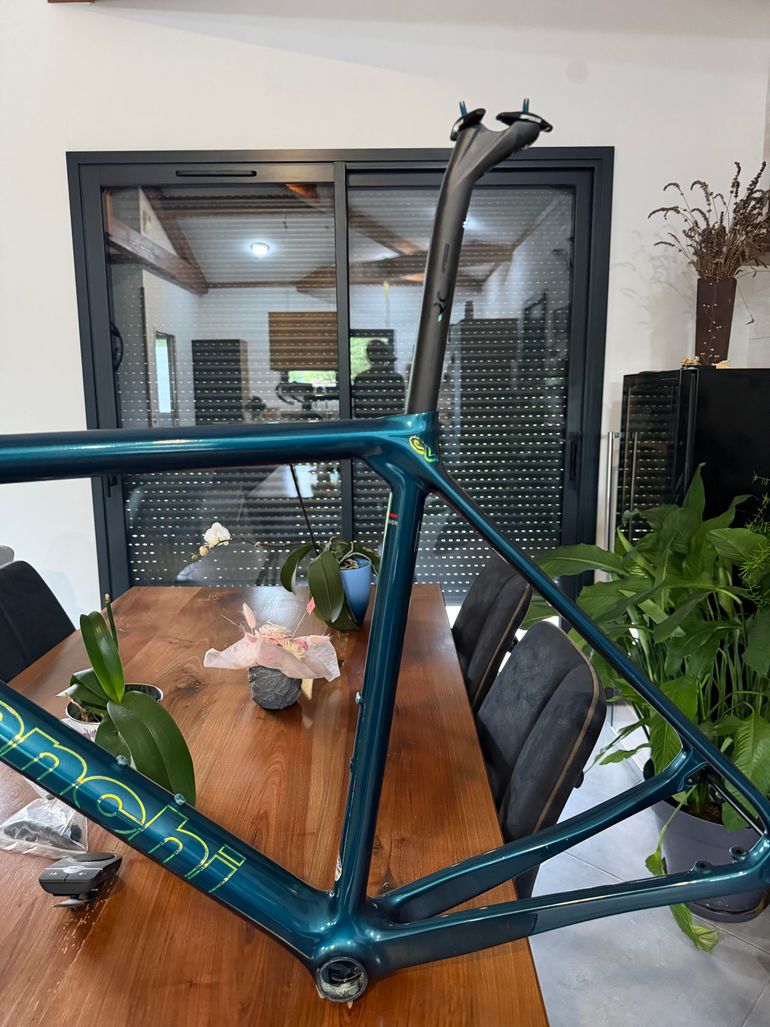 Used Bianchi Specialissima Pro Racing Team Special edition frame kit 2023 Frameset 2023 Road & Gravel, Green — image 4 of 4