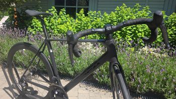 Used Orbea ORCA M20iTEAM 2025 2025 Road & Gravel, Black — image 12 of 17