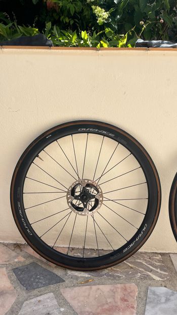 Używany Trek Madone SLR 9 Gen 8 2025 2025 Road & Gravel — zdjęcie 22 z 22