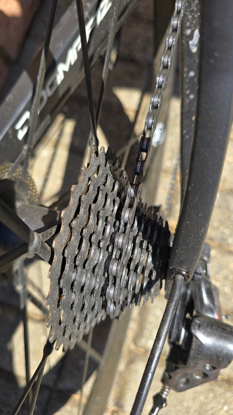 Used Pinarello Dogma F12 Rim - 2020 2020 Road & Gravel, Blue — image 4 of 5