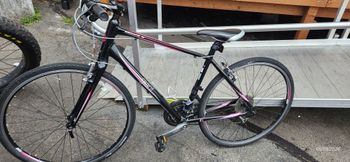 Used Giant Liv Escape W 1 2014 Road & Gravel