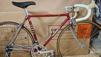 Gebrauchtes Somec Custom Campagnolo Super Record 1985 Road & Gravel, Rot — Bild 4 von 31