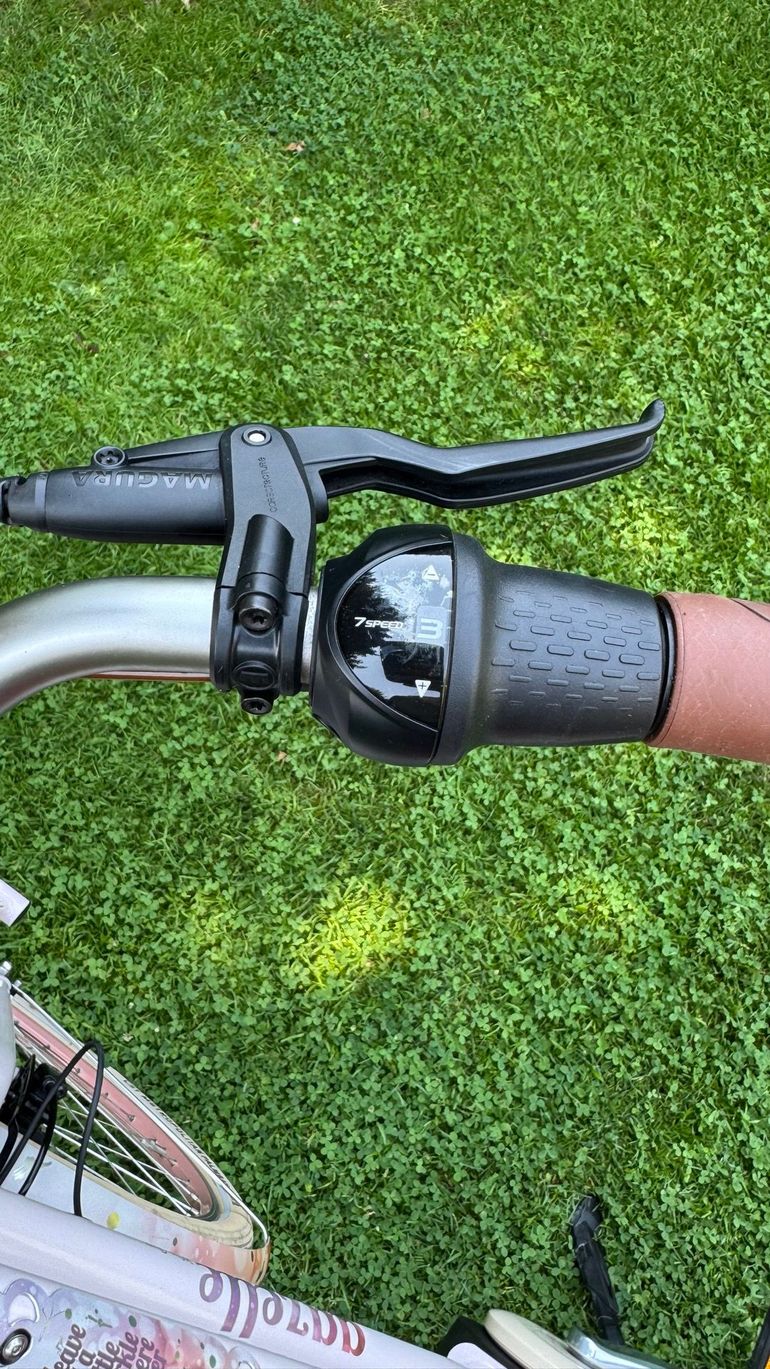 Used Gazelle Custom Shimano Nexus Hub Gear 2019 Urban, Purple — image 8 of 17