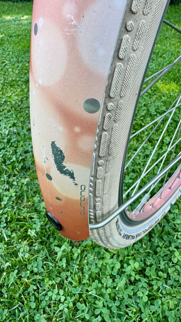 Used Gazelle Custom Shimano Nexus Hub Gear 2019 Urban, Purple — image 15 of 17