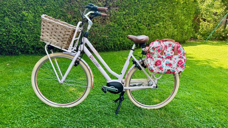 Used Gazelle Custom Shimano Nexus Hub Gear 2019 Urban, Purple — image 2 of 17