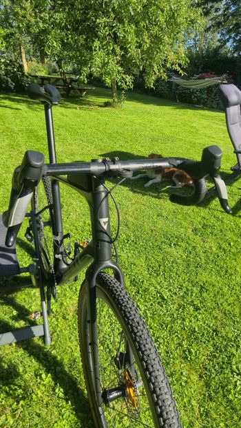 Używany Giant Revolt SRAM Apex 2024 Road & Gravel — zdjęcie 5 z 8