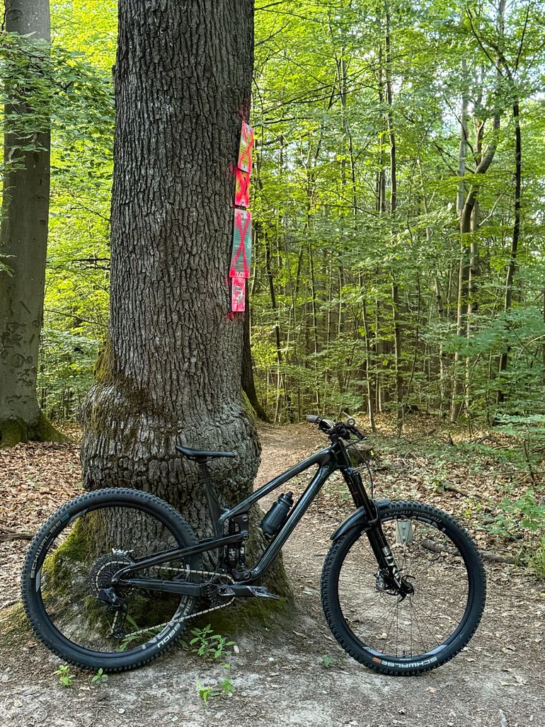Gebrauchtes Propain Tyee CF 29 Performance 2022 2022 Mountainbike, Schwarz — Bild 3 von 3