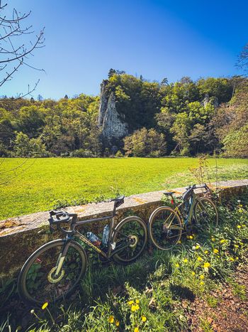 Used Cannondale Synapse Neo Allroad 1 2025 2025 Road & Gravel, Green — image 3 of 3