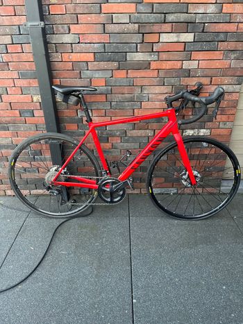 Canyon Endurace 7 Disc 2022 2022 Road & Gravel d'occasion — image 2 sur 3