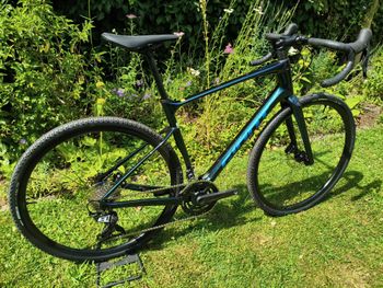 Giant Revolt Advanced 2 2022 2022 Road & Gravel de segunda mano, Azul — imagen 3 de 11