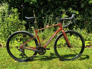 Giant Revolt Advanced 2 2025 2025 Carretera y gravel de segunda mano
