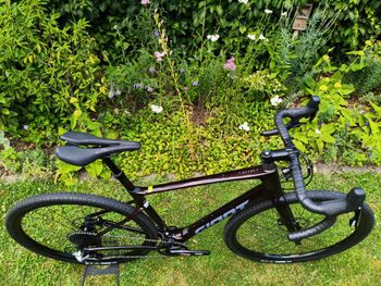 Used Giant Revolt Advanced 1 2023 2023 Road & Gravel, Purple — image 8 of 12