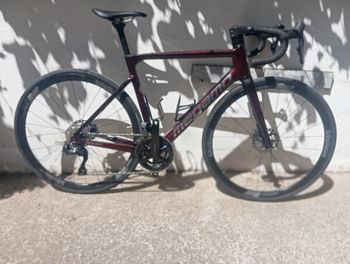 Megamo PULSE ELITE 15 SH12 2023 2023 Road & Gravel d'occasion — image 5 sur 6