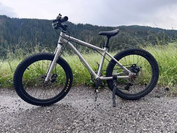 Brugt Early Rider Trail 20 2020 2020 Kids & Youth