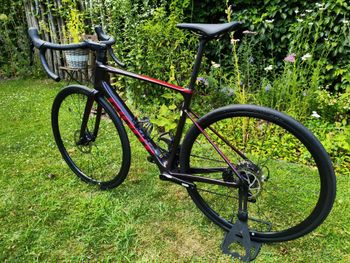 Used Giant Defy Advanced 2 2024 2024 Road & Gravel, Light Gray — image 6 of 11