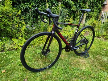 Used Giant Defy Advanced 2 2024 2024 Road & Gravel, Light Gray — image 5 of 11