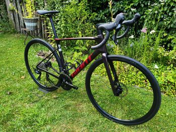 Used Giant Defy Advanced 2 2024 2024 Road & Gravel, Light Gray — image 2 of 11