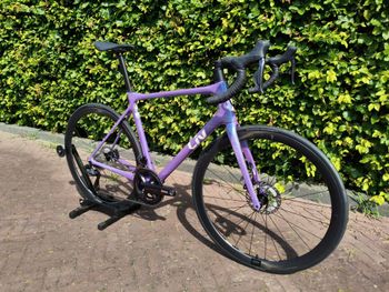 Used Liv Langma Advanced Pro Disc 0 Pro Compact 2024 2024 Road & Gravel, Purple — image 2 of 15