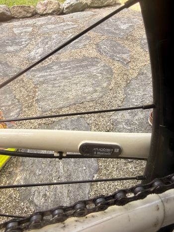 Used Trek AL 4 2024 Road & Gravel, White — image 6 of 11