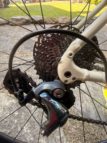 Used Trek AL 4 2024 Road & Gravel, White — image 4 of 11