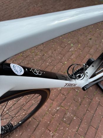 Gebrauchtes Trek Madone SL 6 Gen 8 2025 2025 Road & Gravel, Weiß — Bild 4 von 6