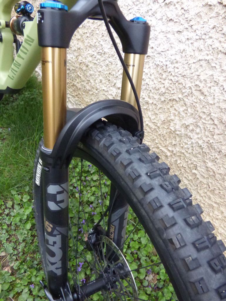 Used Canyon Spectral 125 CF 9 2023 2023 Mountainbike, Green, 29 — image 12 of 13