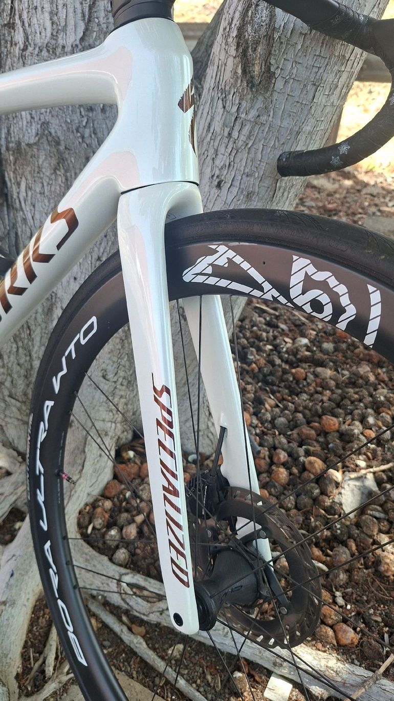 Specialized S-Works Tarmac SL8 - Shimano Dura-Ace Di2 2026 Frameset 2026 Road & Gravel d'occasion — image 6 sur 7
