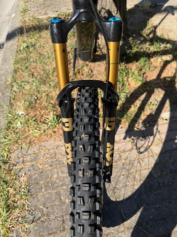 Gebrauchtes Amflow PL Carbon Pro (800Wh) 2026 2026 Mountainbike, Schwarz, 29 — Bild 2 von 12