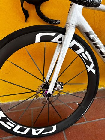 Used Giant TCR Advanced SL Frameset 2025 2025 Road & Gravel, White — image 13 of 13