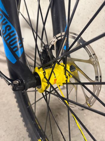 Gebrauchtes Canyon Strive SRAM GX Eagle 2017 Mountainbike, Schwarz — Bild 6 von 29