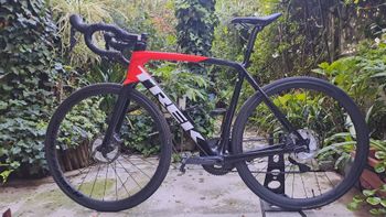Used Trek Émonda SL 6 Disc Pro 2021 2021 Road & Gravel