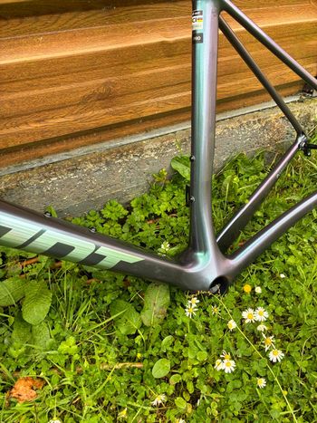 Giant TCR Advanced Pro Frameset 2025 Frameset 2025 Road & Gravel de segunda mano, Morado — imagen 7 de 12