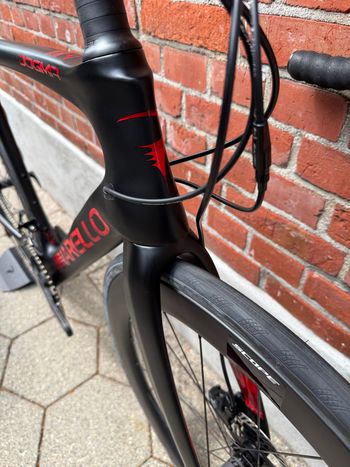 Used Pinarello Dogma Campagnolo Chorus 2024 Road & Gravel, Black — image 6 of 13