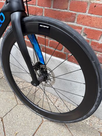 Used Pinarello Dogma Campagnolo Chorus 2024 Road & Gravel, Black — image 4 of 14