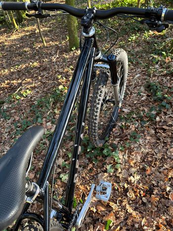 Rezal Custom SRAM GX Eagle 2026 Mountainbike d'occasion — image 5 sur 5